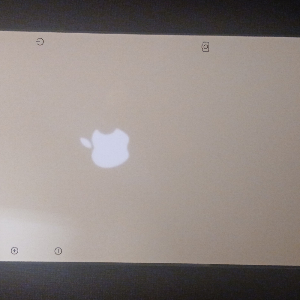 Apple Logo Mirror